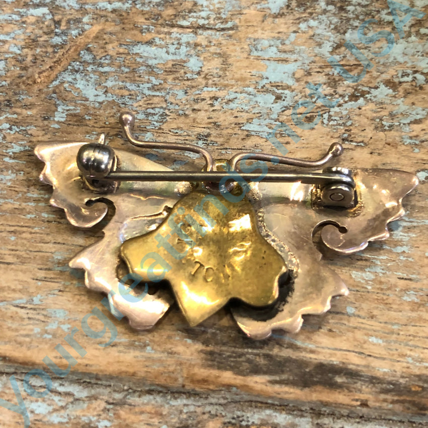 Far Fetched Butterfly Pin Sterling Silver Brass