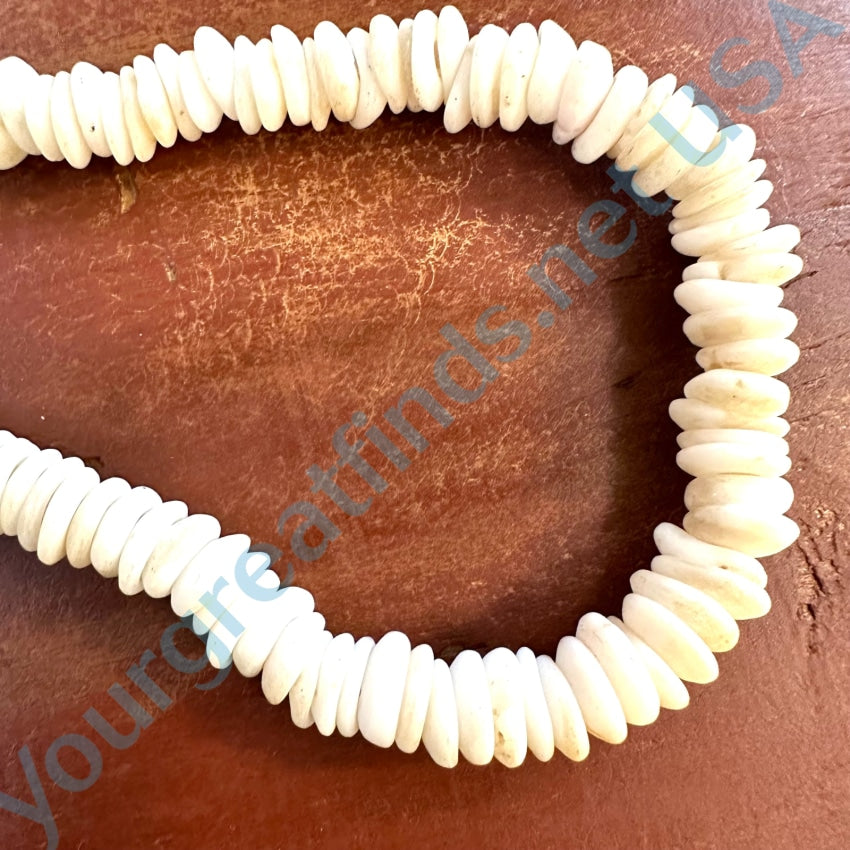 Natural High Grade Hawaiian Puka Shell Choker Necklace Necklace