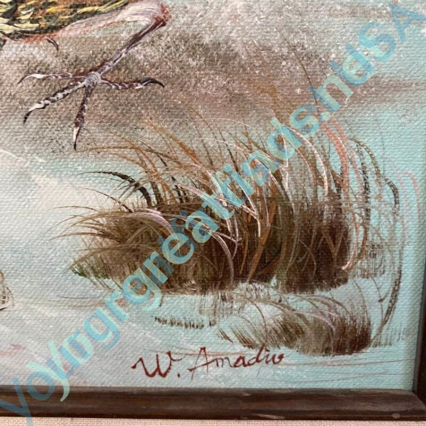 Original Bird Oil on Canvas Painting by W. Amadio Yourgreatfinds