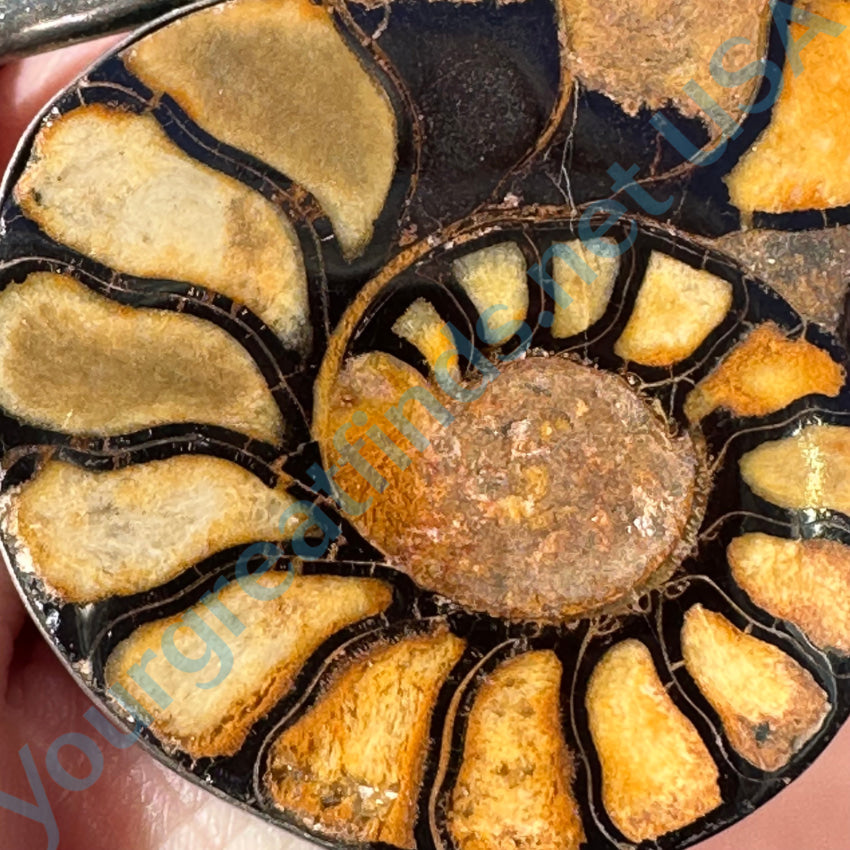 Vintage Black Onyx &amp; Ammonite Sterling Silver Pendant Pin Navajo J. Yates