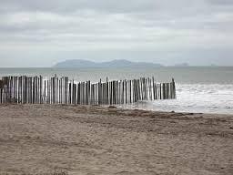 A Bordertown 4th of July Yourgreatfinds