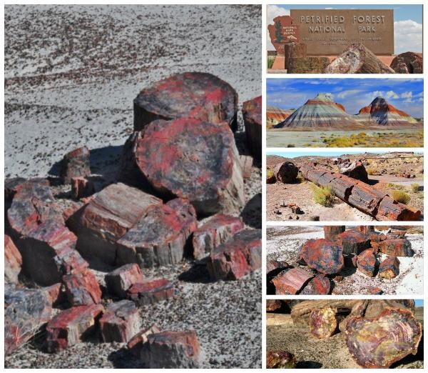 Bucket List: Petrified Forest in Arizona Yourgreatfinds