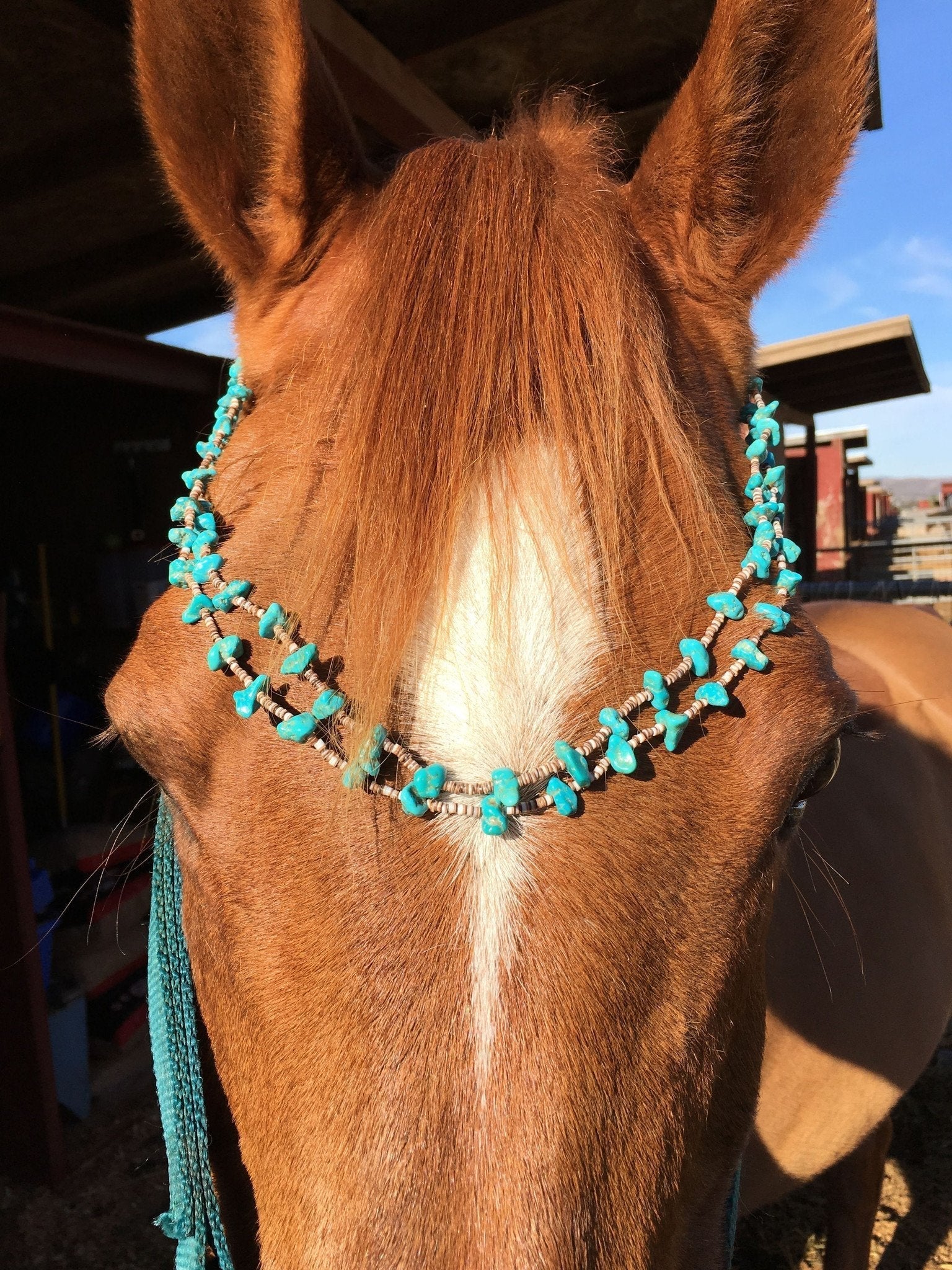 Turquoise and Gingers Yourgreatfinds