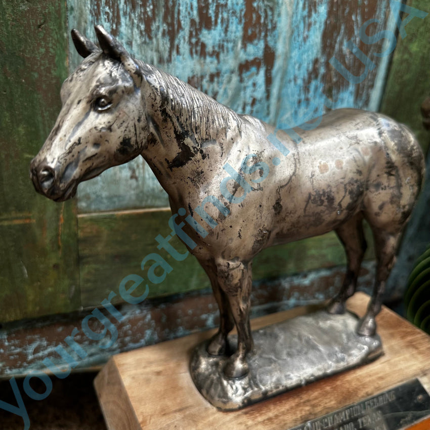 1968 Aqha Grand Champion Gelding Horse Trophy Trophy