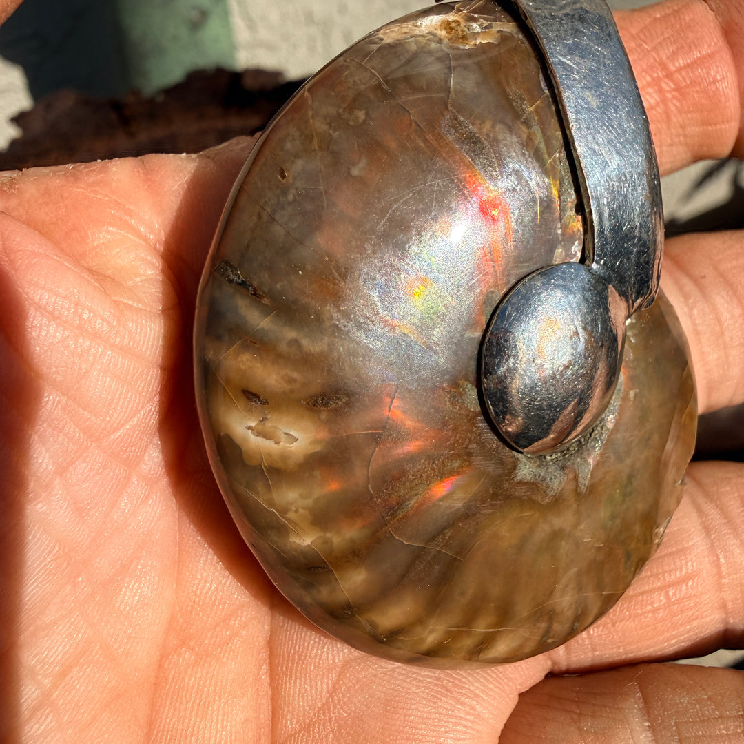 Large Vintage Sterling Silver Ammonite Pendant