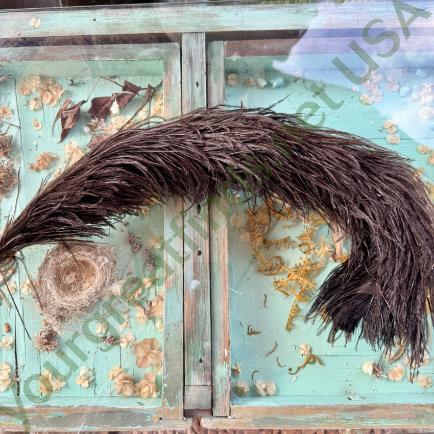 Antique Black Ostrich Feather Victorian Hat Plume feather