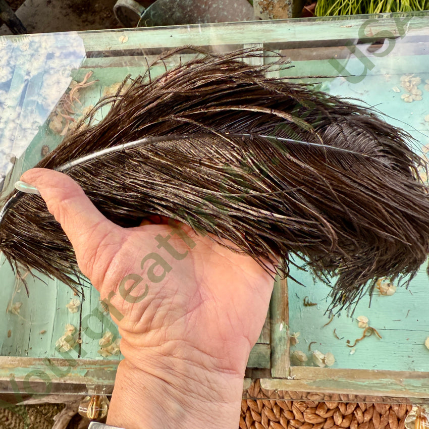 Antique Black Ostrich Feather Victorian Hat Plume feather