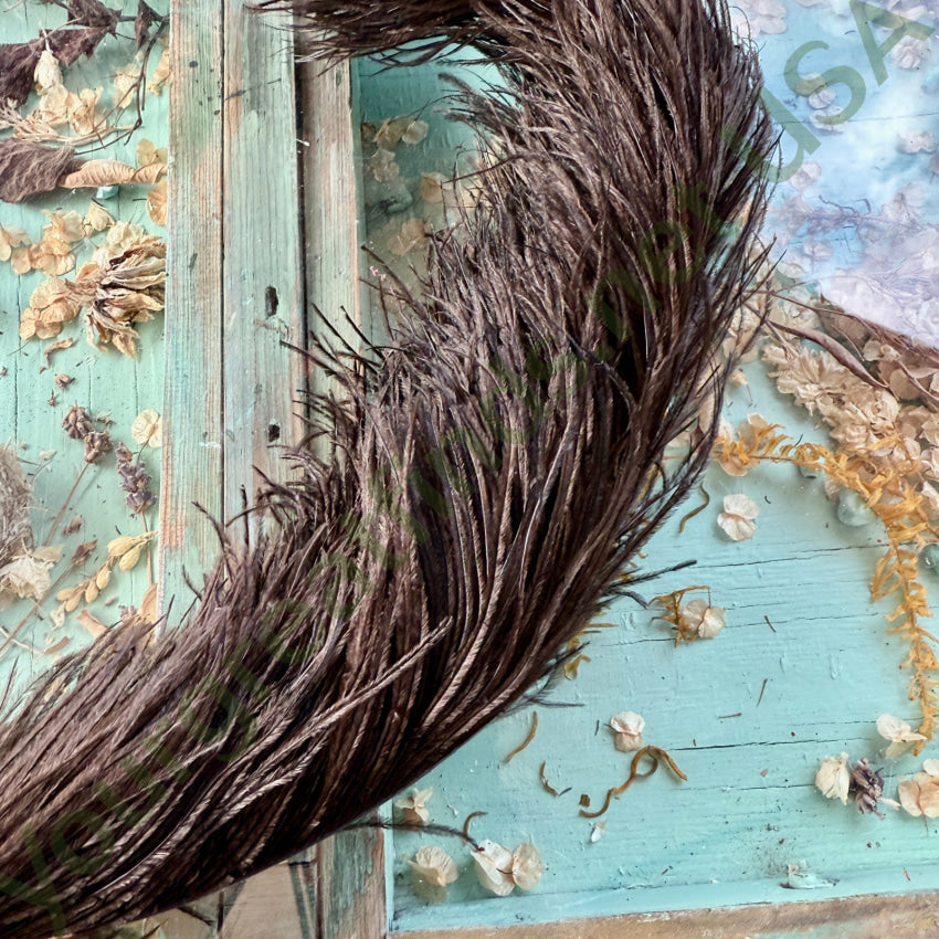 Antique Black Ostrich Feather Victorian Hat Plume feather