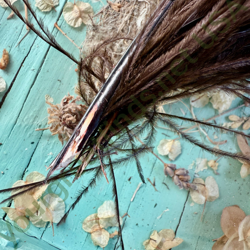 Antique Black Ostrich Feather Victorian Hat Plume feather