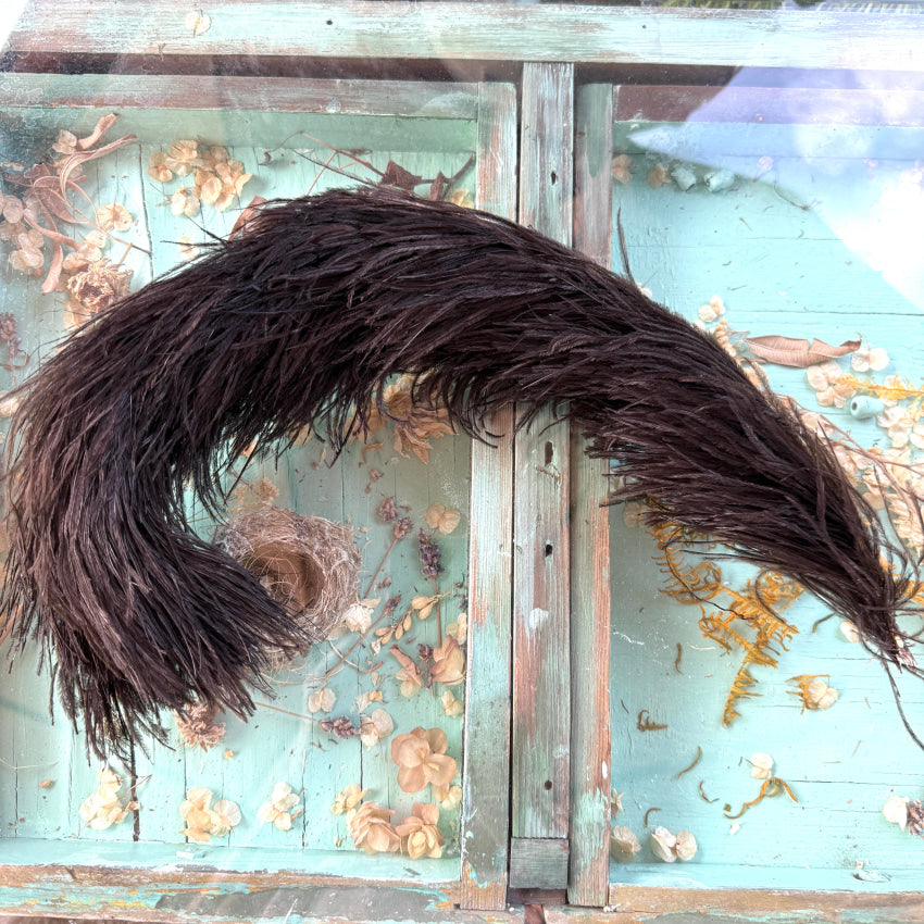 Antique Black Ostrich Feather Victorian Hat Plume feather