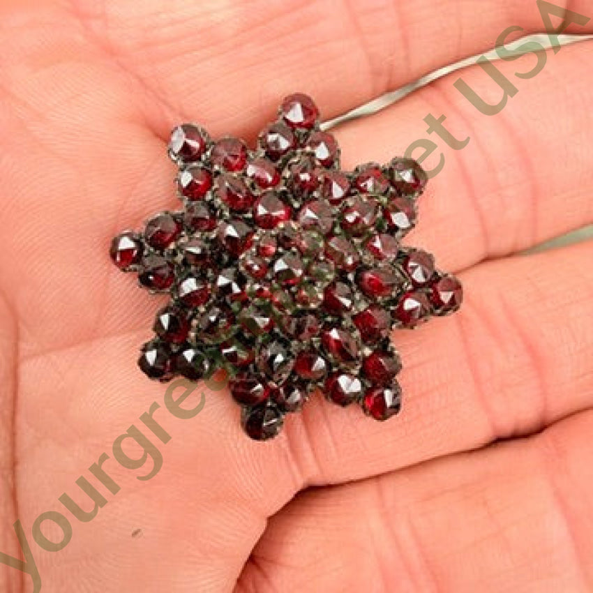 Antique Bohemian Garnet Star Pin pin