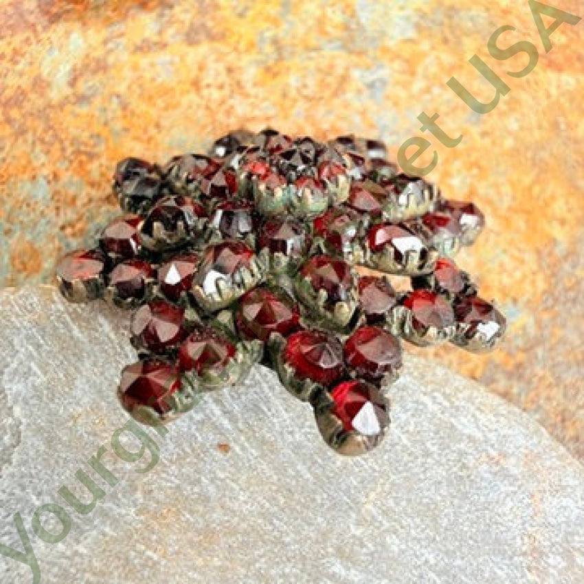 Antique Bohemian Garnet Star Pin pin