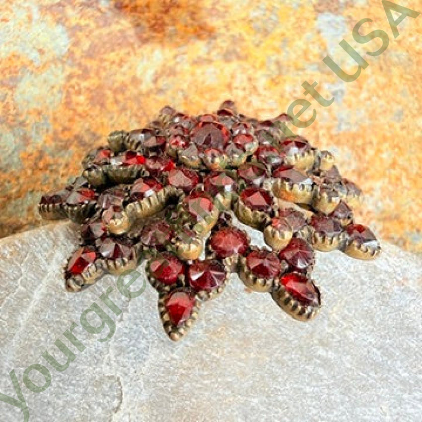 Antique Bohemian Garnet Star Pin pin
