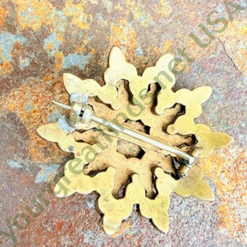 Antique Bohemian Garnet Star Pin pin