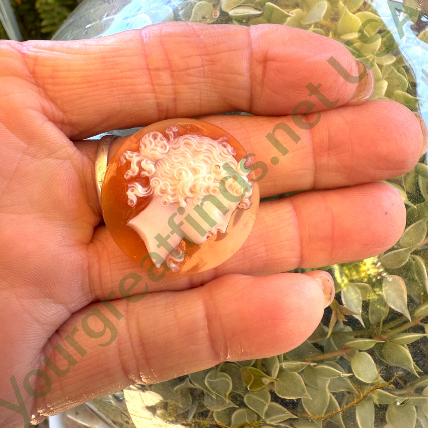 Antique Carved Sardonyx Unset Cameo Diana Artemis