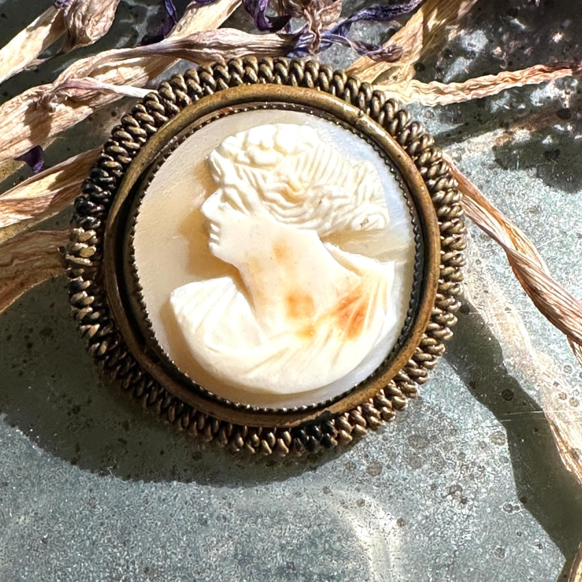 Antique Carved Shell Round Cameo Brass Setting Brooch