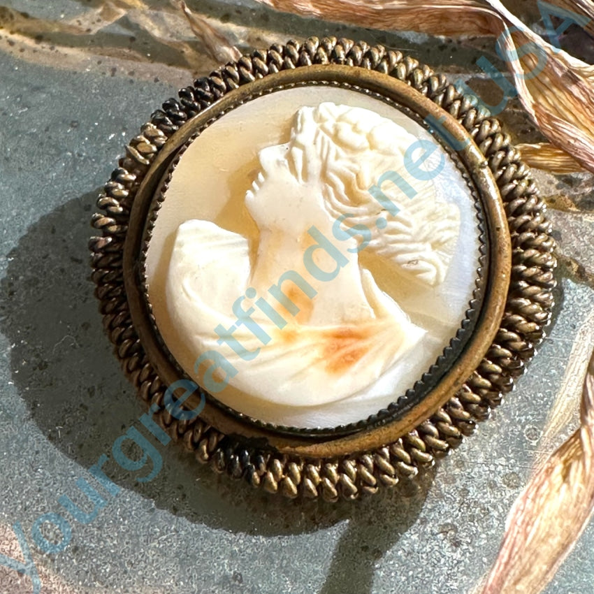 Antique Carved Shell Round Cameo Brass Setting Brooch