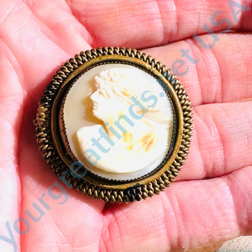 Antique Carved Shell Round Cameo Brass Setting Brooch