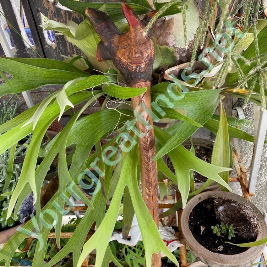 Antique Folk Art Hand Carved Mythical Creature Staff Wood Yourgreatfinds