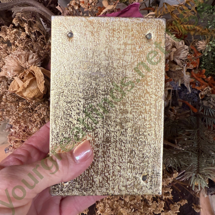 Antique Gold Filled Expansion Bracelet Earrings In Box Briggs Carmen bracelet earring set