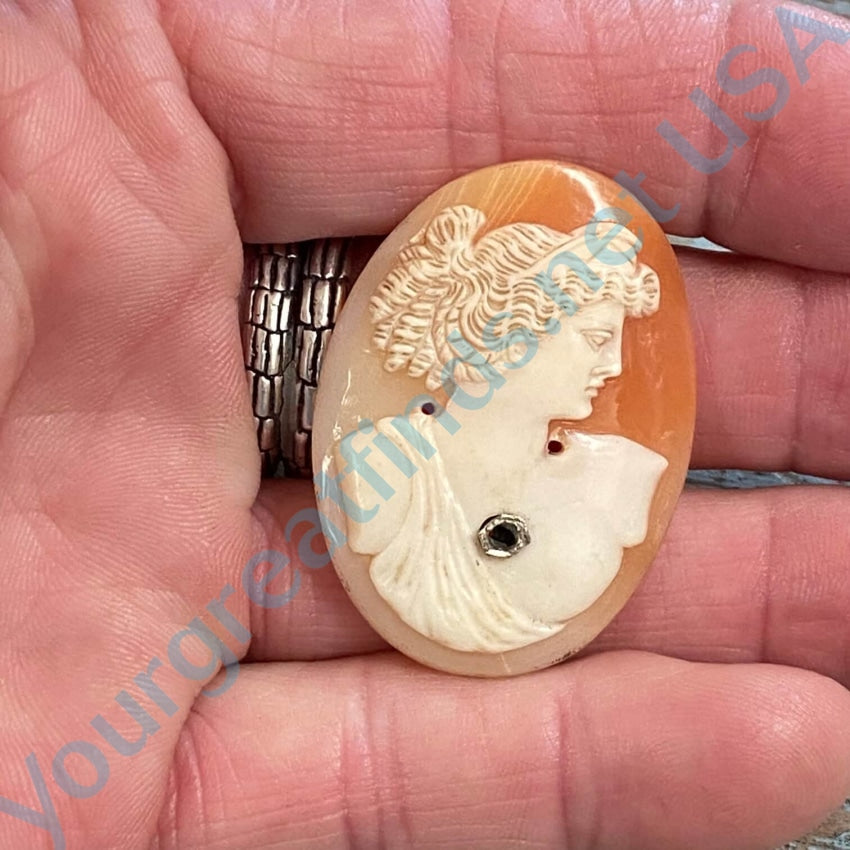 Antique Italian Hand Carved Habille Shell Cameo Unset