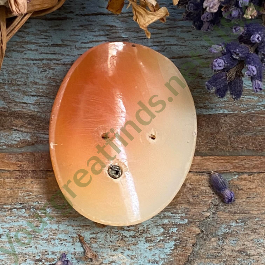 Antique Italian Hand Carved Habille Shell Cameo Unset