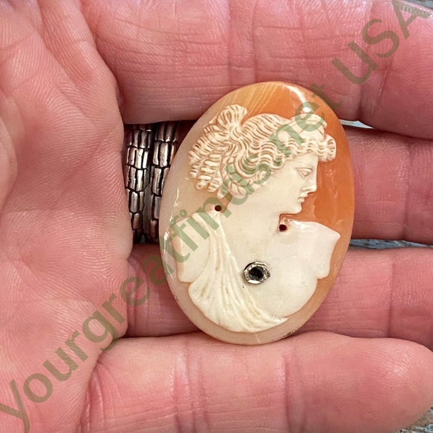 Antique Italian Hand Carved Habille Shell Cameo Unset