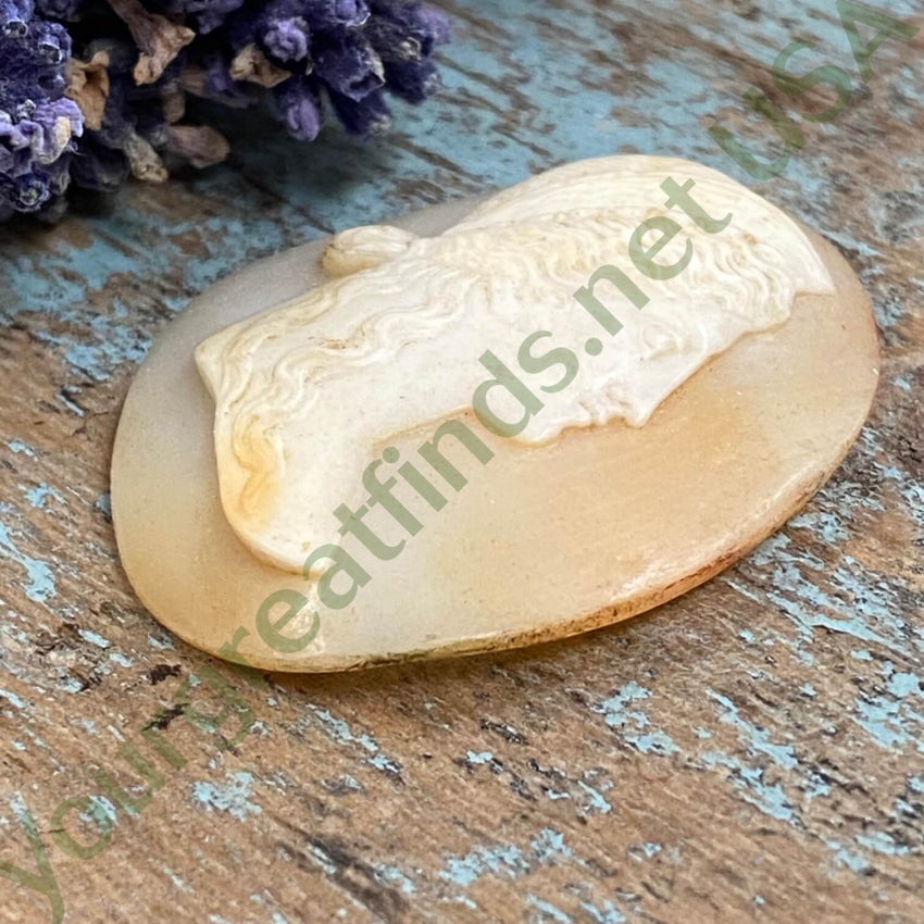 Antique Italian Hand Carved Shell Cameo Unset