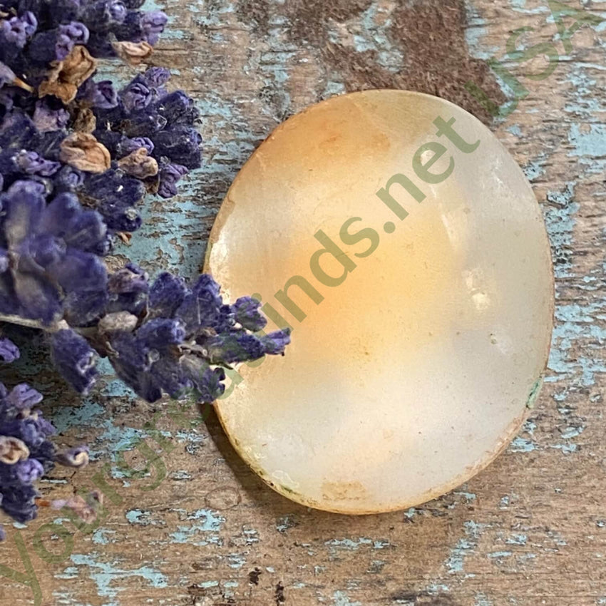 Antique Italian Hand Carved Shell Cameo Unset