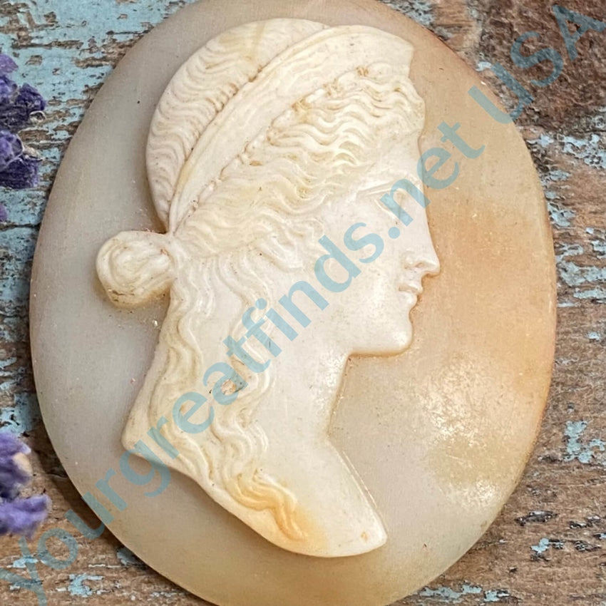 Antique Italian Hand Carved Shell Cameo Unset