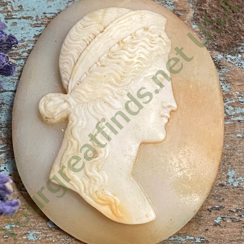 Antique Italian Hand Carved Shell Cameo Unset