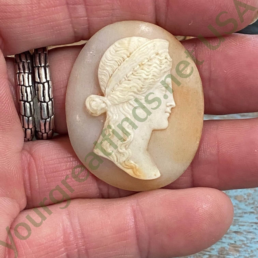 Antique Italian Hand Carved Shell Cameo Unset