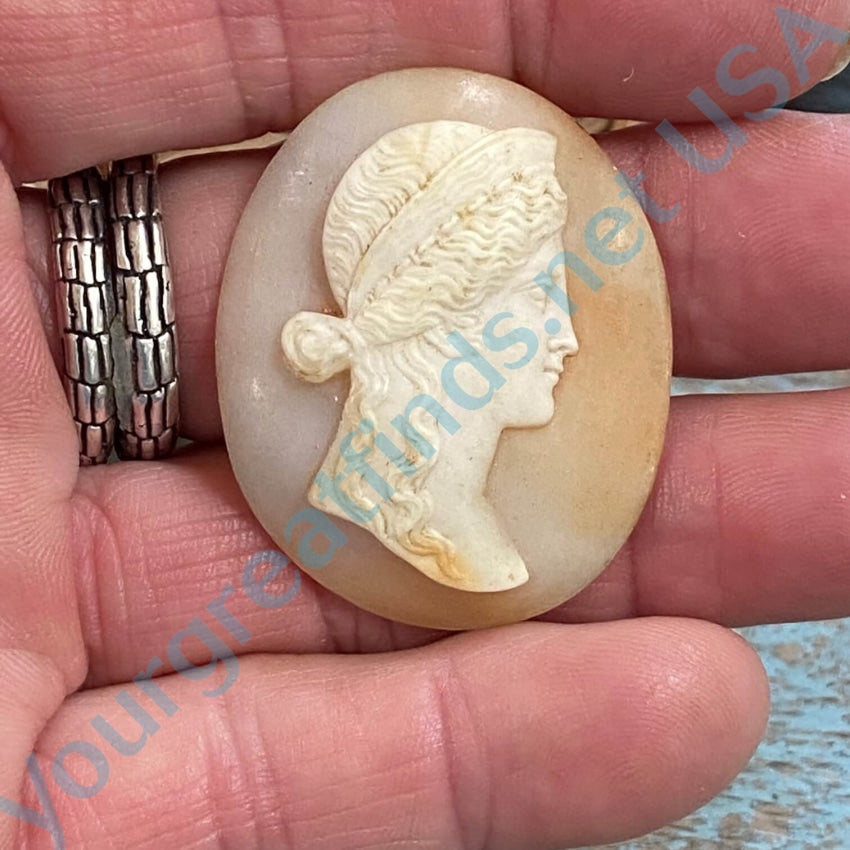 Antique Italian Carved Shell Cameo with Name on good back