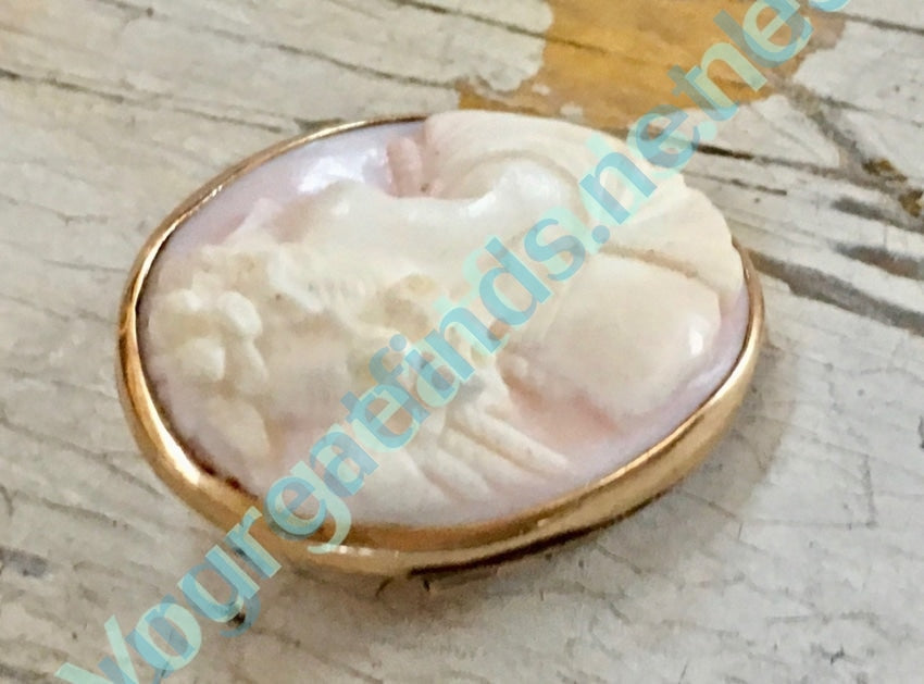 Antique Pink Conch Shell Cameo Brooch 10k Gold Yourgreatfinds