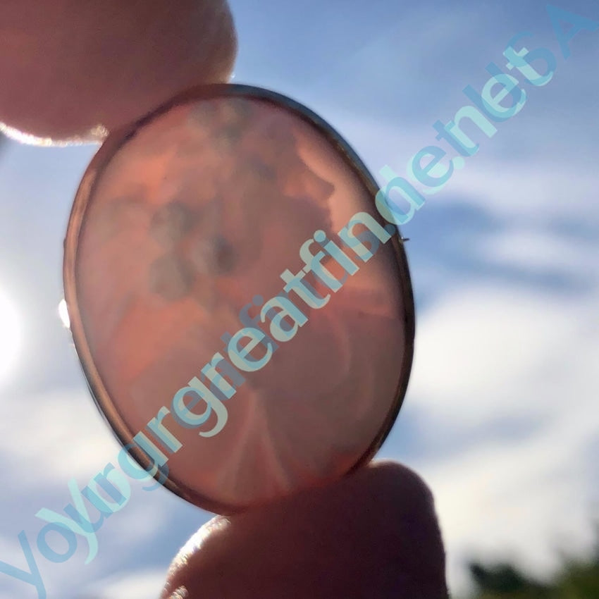 Antique Pink Conch Shell Cameo Brooch 10k Gold Yourgreatfinds