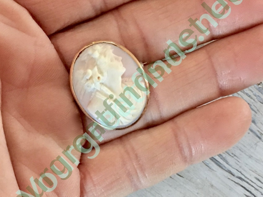 Antique Pink Conch Shell Cameo Brooch 10k Gold Yourgreatfinds
