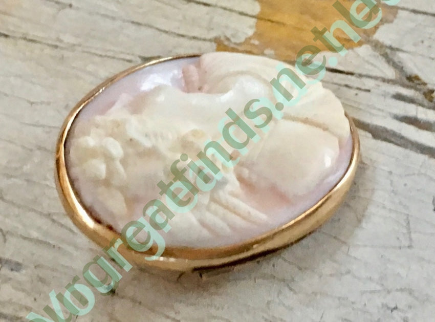 Antique Pink Conch Shell Cameo Brooch 10k Gold Yourgreatfinds
