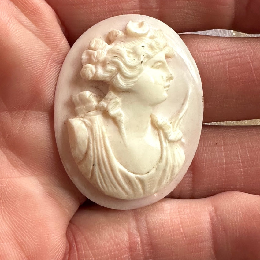 Antique Pink Conch Shell Unset Cameo Diana