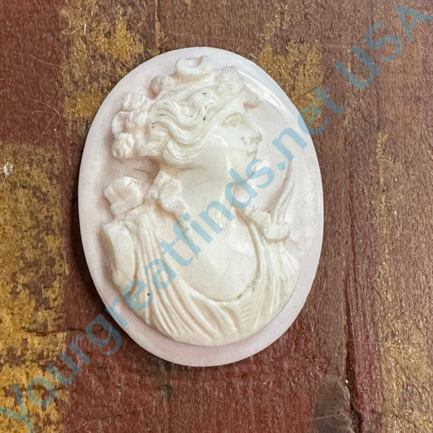 Antique Pink Conch Shell Unset Cameo Diana