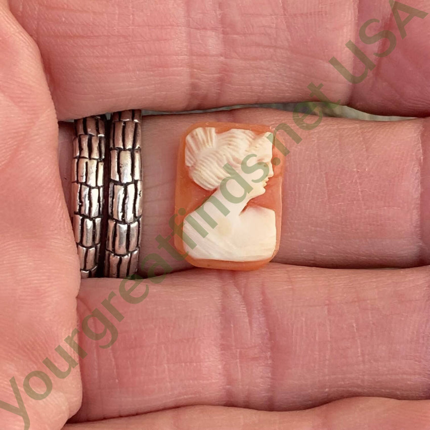 Antique Rectangular Hand Carved Shell Cameo Unset