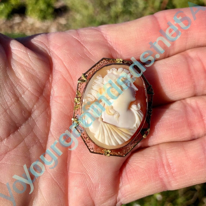 Antique Shell Cameo Pendant Brooch 10K Gold Filigree Yourgreatfinds