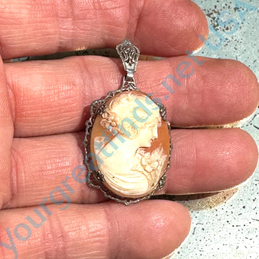 Exquisitely Carved orders Sterling Shell Cameo Pendant Necklace (A257)