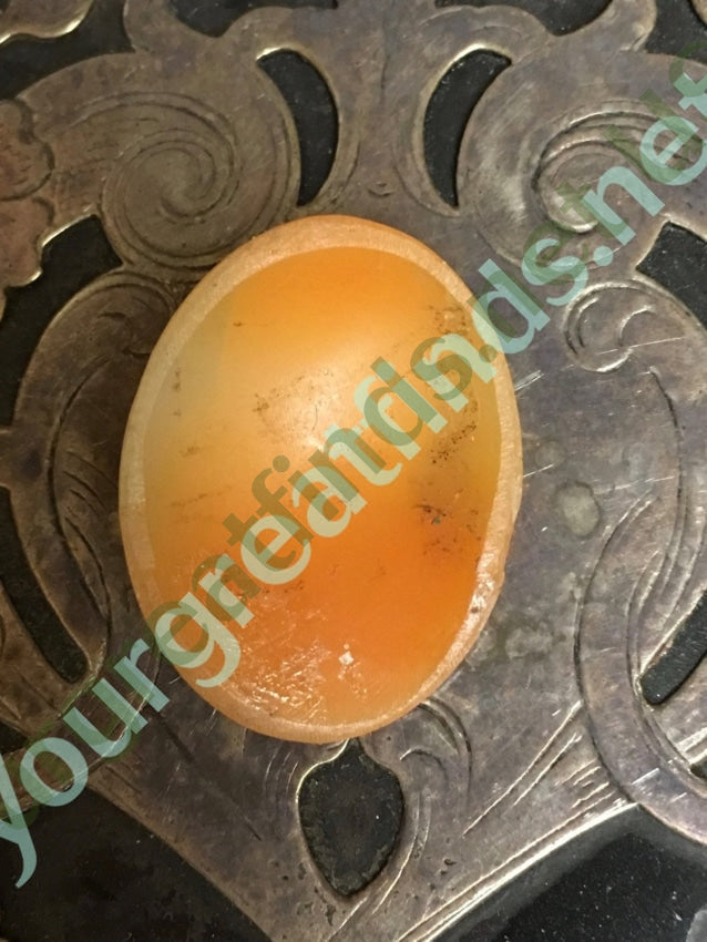 Antique Unset Cameo Hand-Carved Shell Yourgreatfinds