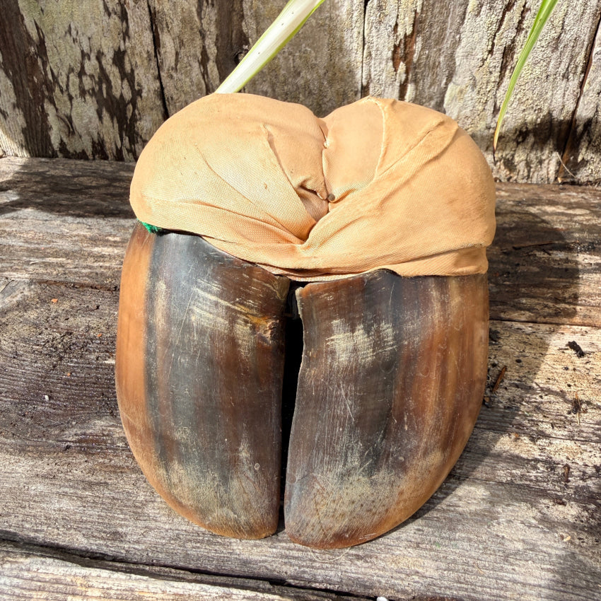 Antique Victorian Bovine Hoof and Silk Pincushion antique pincushion