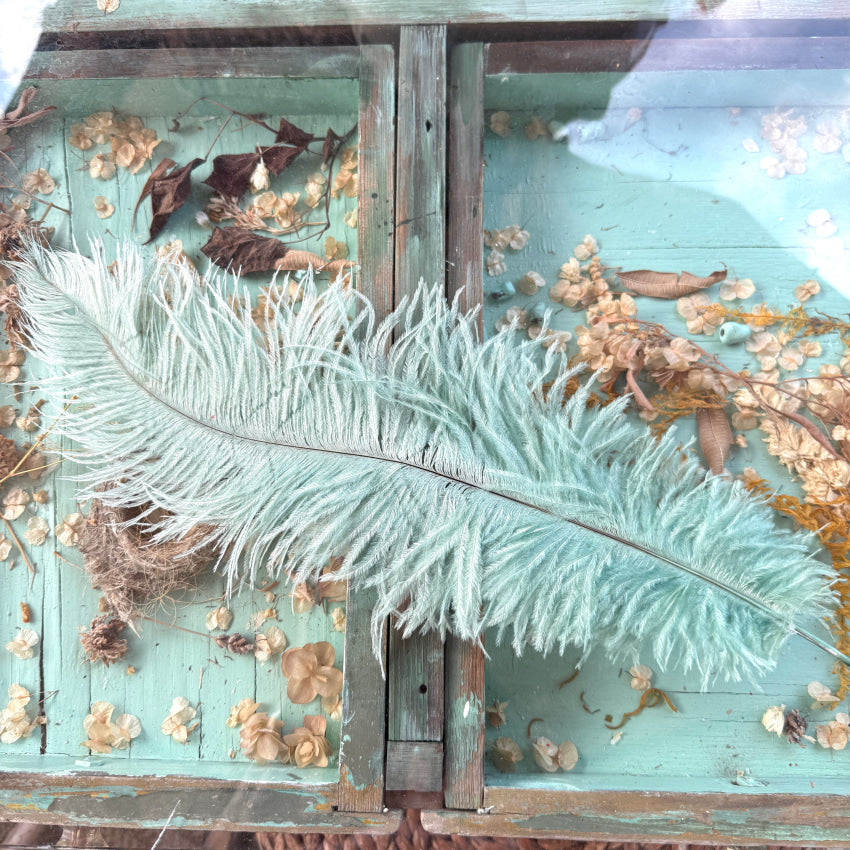 Antique Victorian Seafoam Green Emu Feather Hat Plume