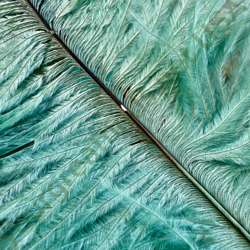 Antique Victorian Seafoam Green Emu Feather Hat Plume
