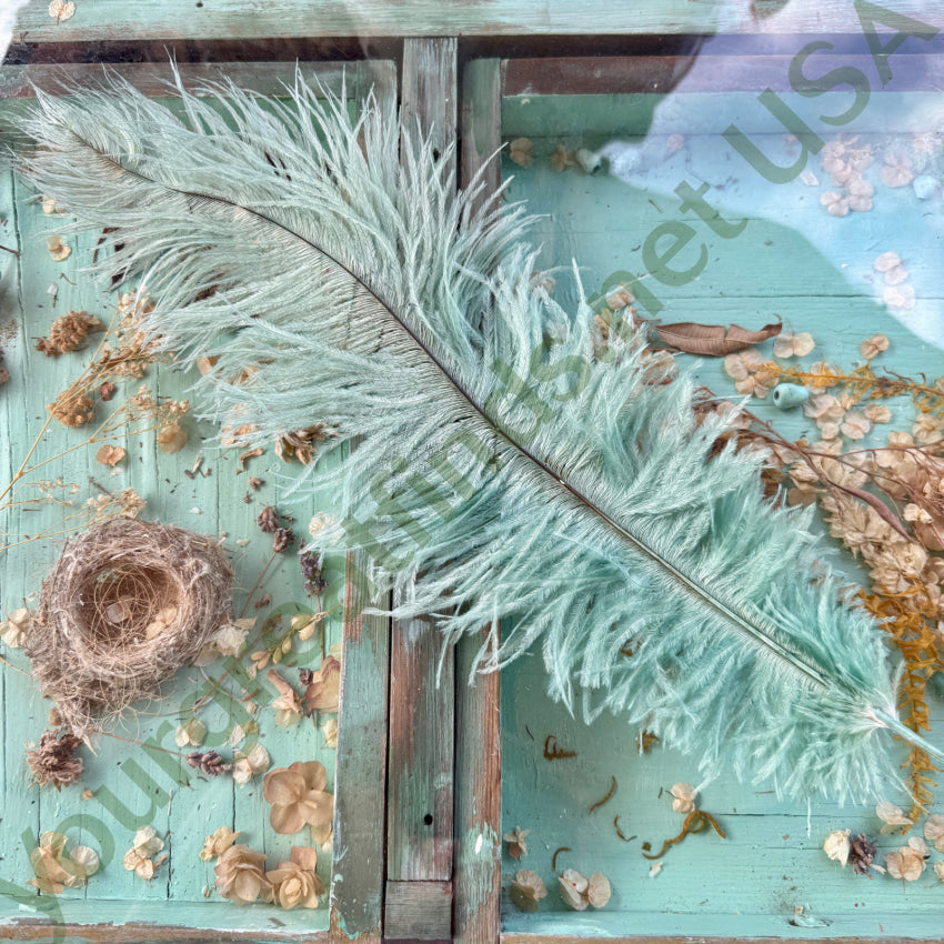 Antique Victorian Seafoam Green Emu Feather Hat Plume