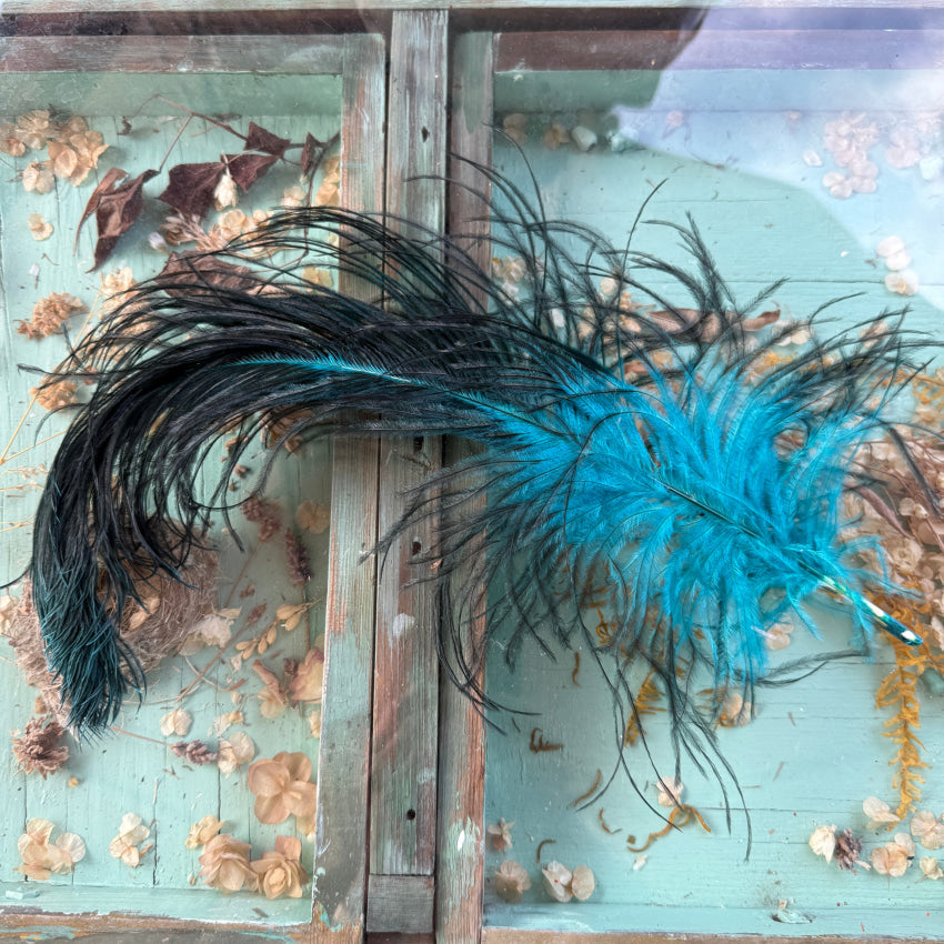 Antique Victorian Teal & Black Ostrich Feather Hat Plume