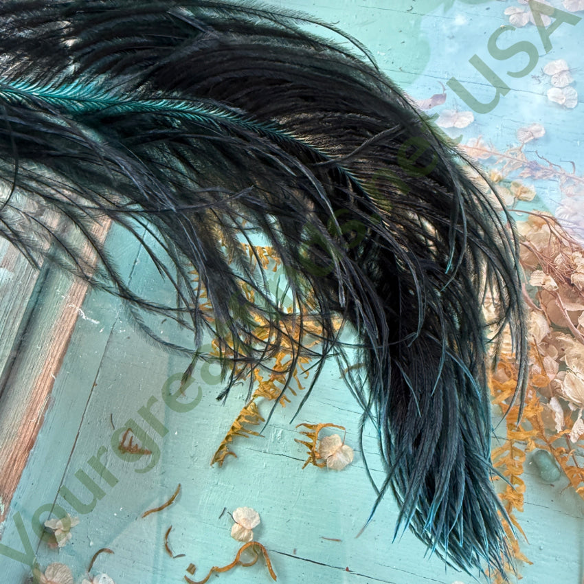 Antique Victorian Teal & Black Ostrich Feather Hat Plume