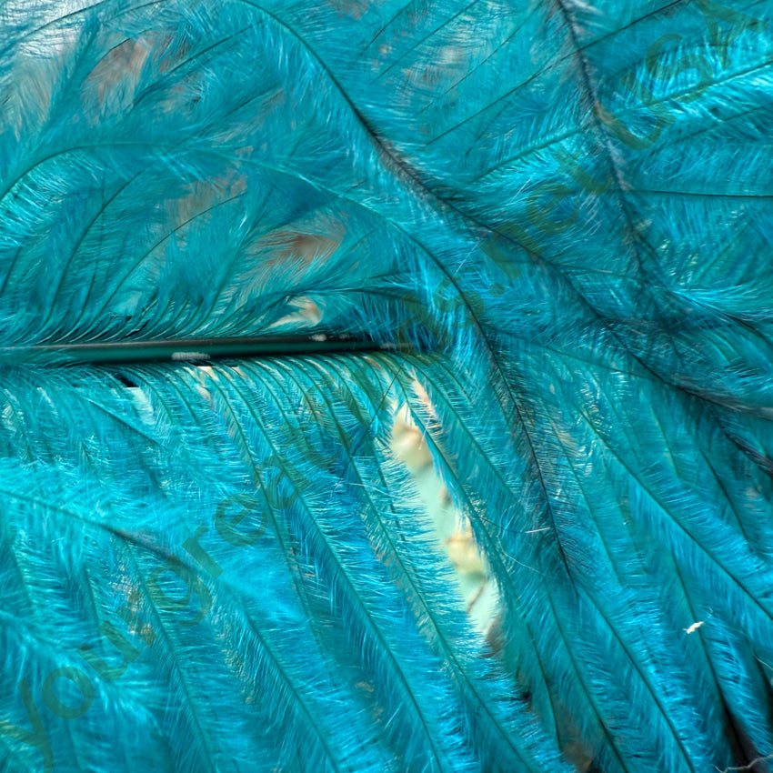 Antique Victorian Teal & Black Ostrich Feather Hat Plume